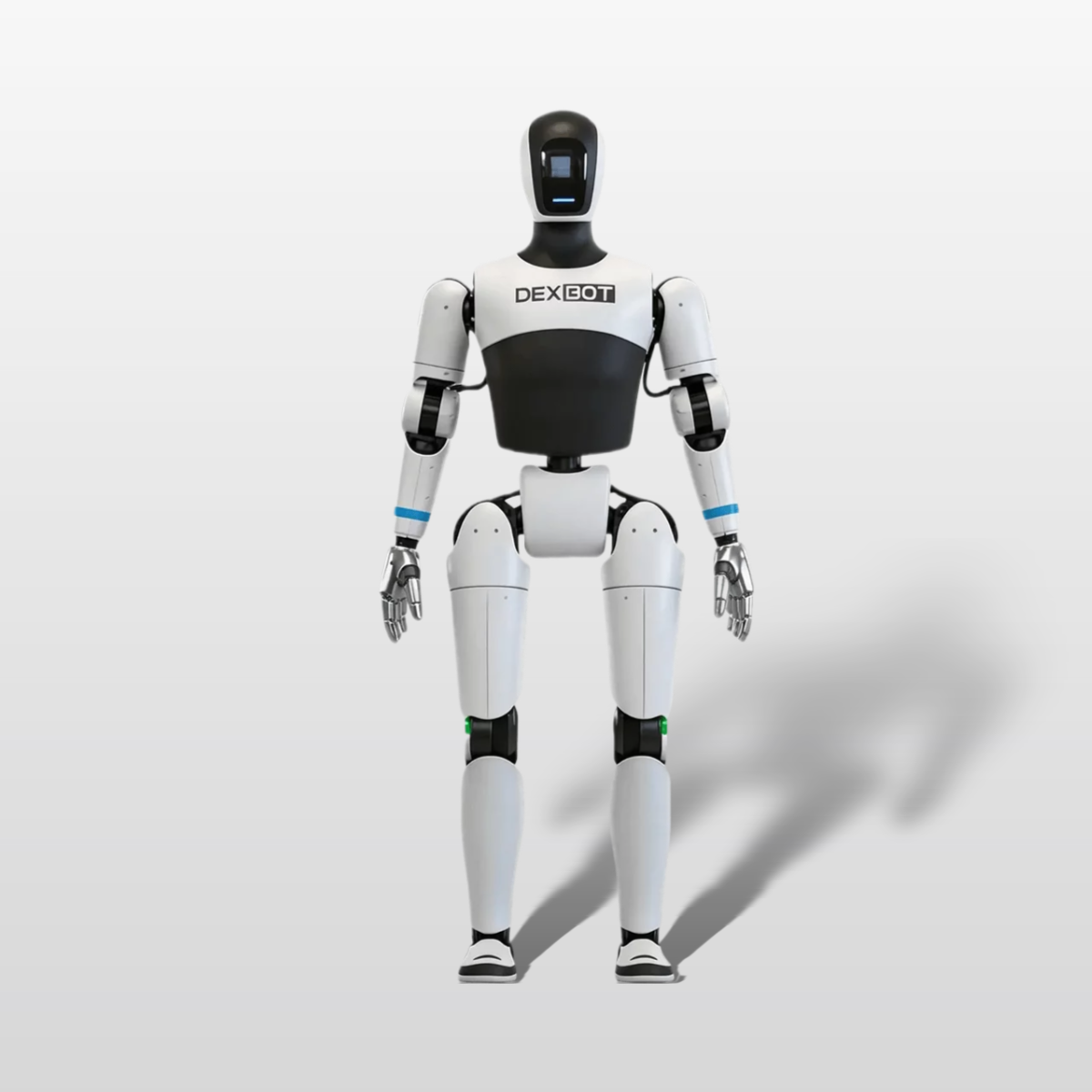 DexBot