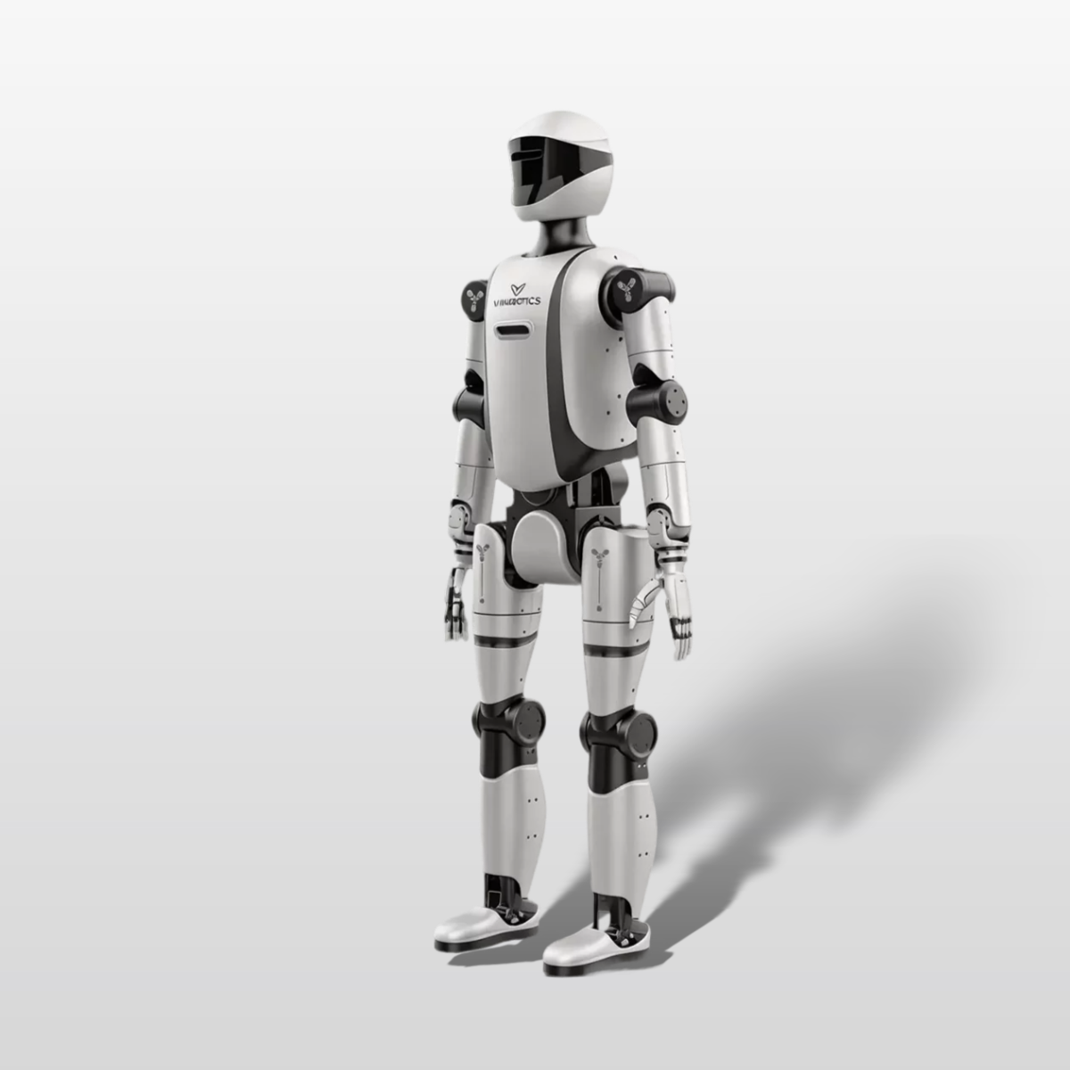 VR-M2
