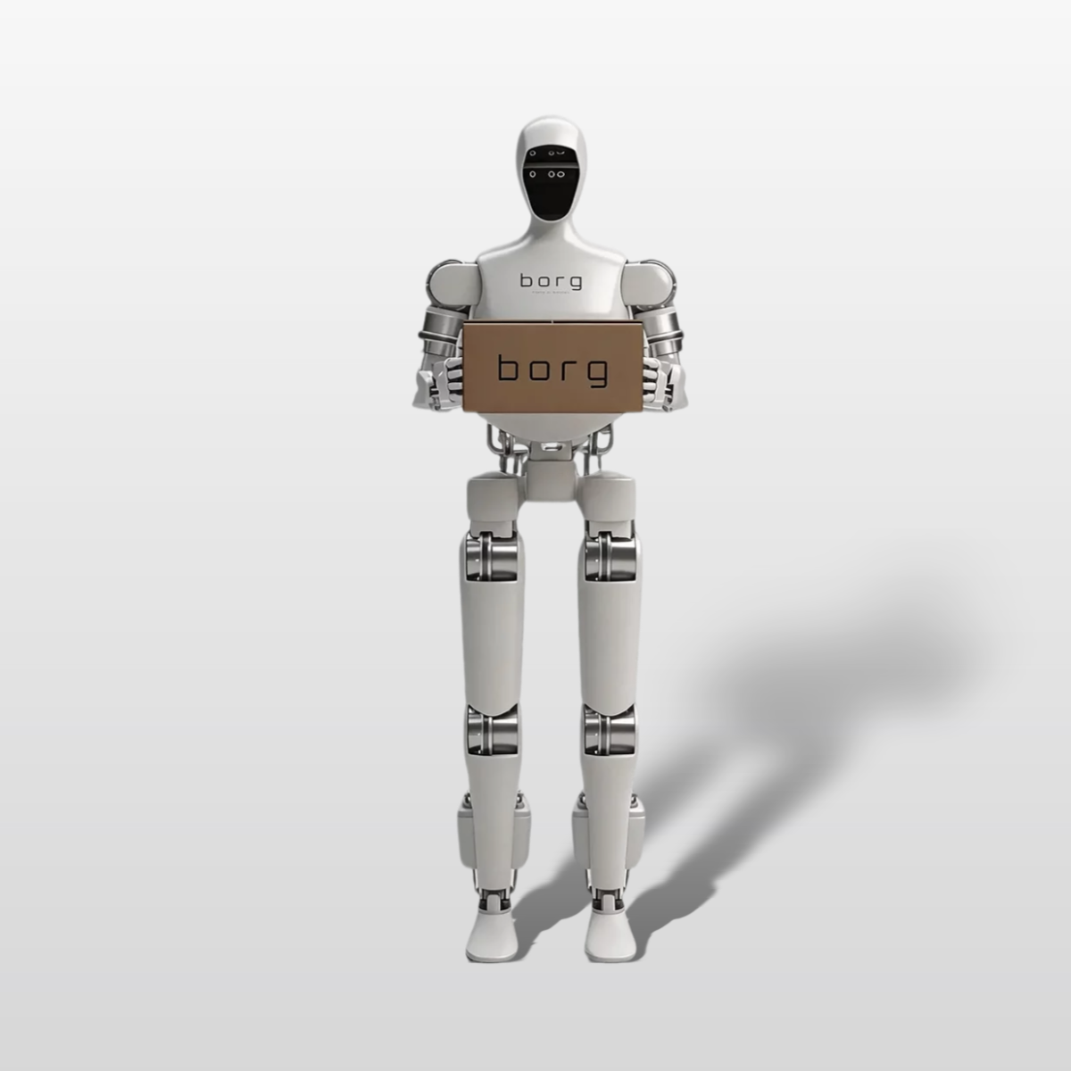 borg 01