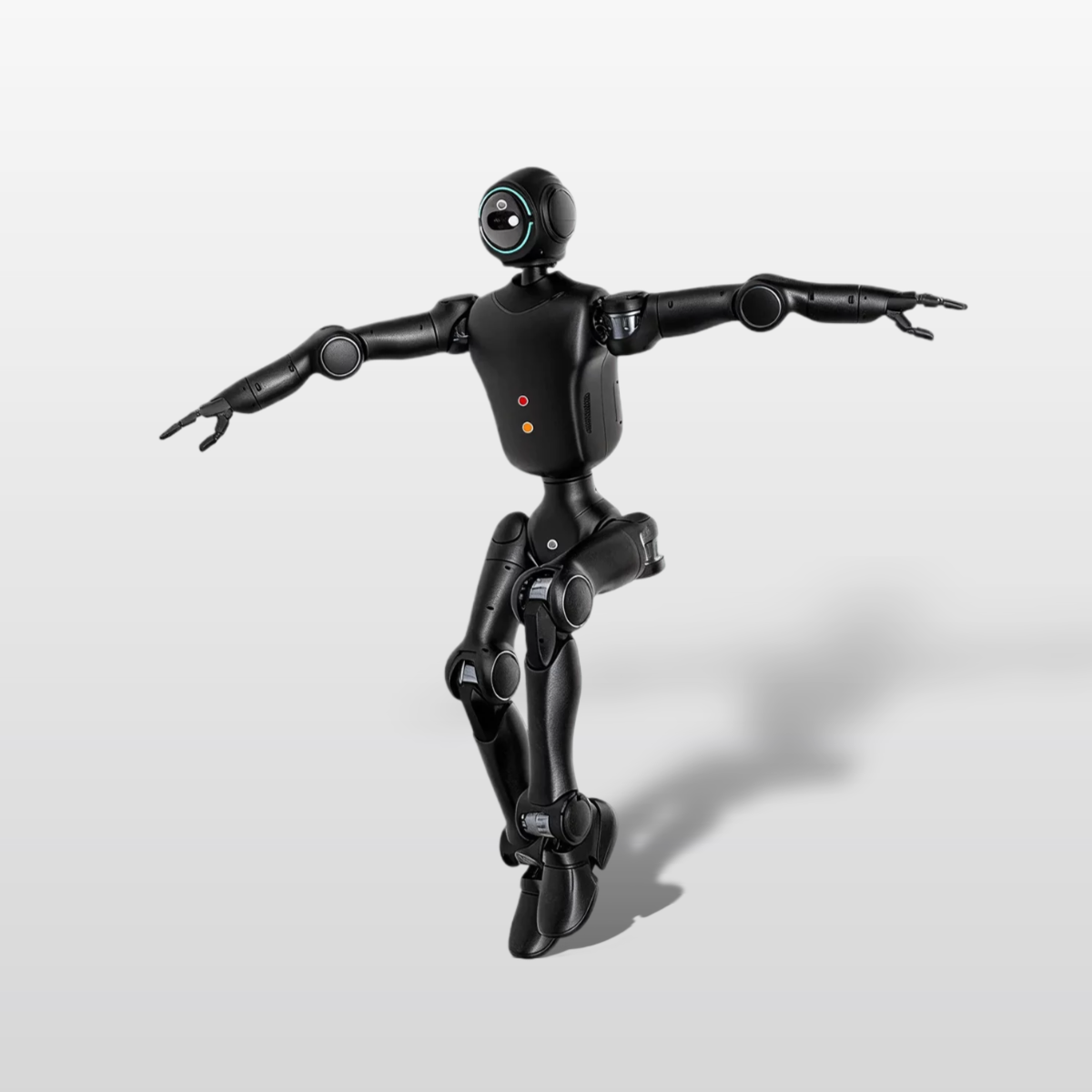 PHYBOT C1