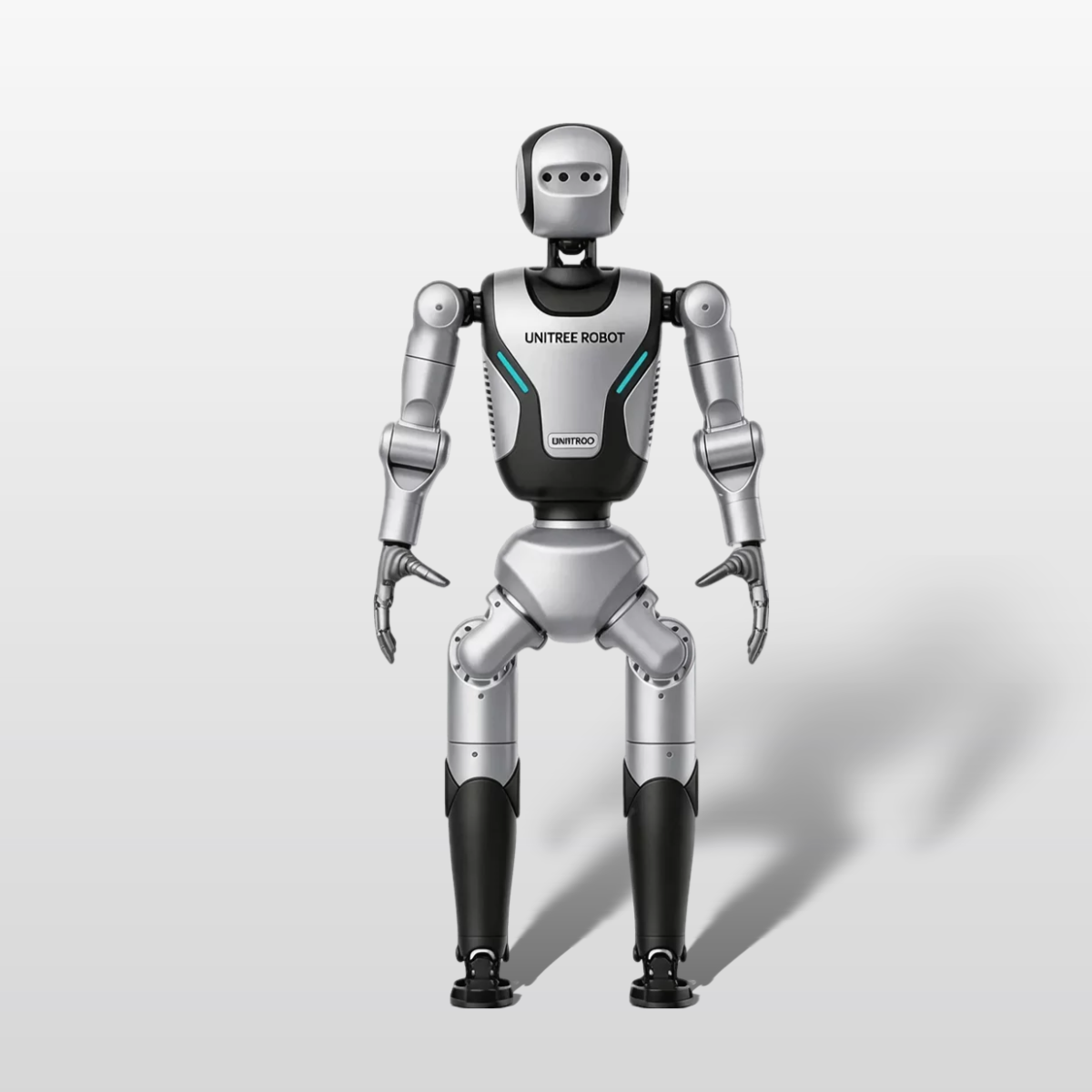 ROBAN 2