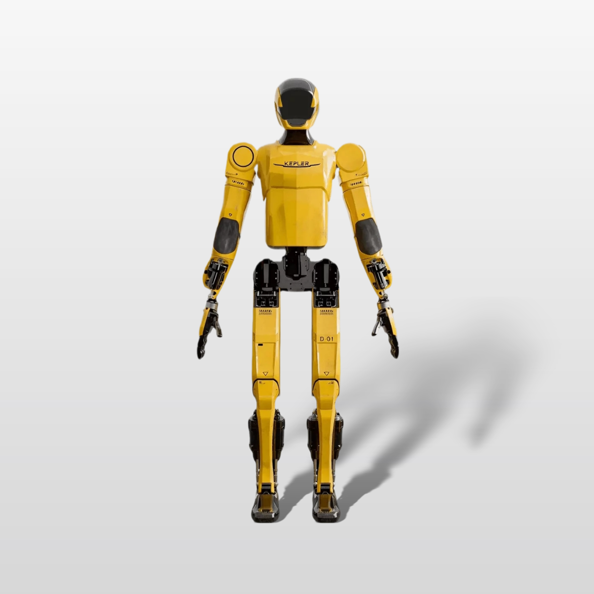 Forerunner K2